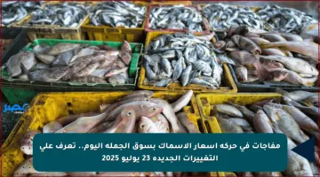 مفاجآت في حركة أسعار الأسماك بسوق الجملة اليوم.. تعرف على التغييرات الجديدة 23 يوليو 2025